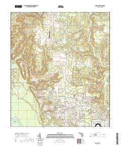 USGS US Topo 7.5-minute map for Wallace FL 2021