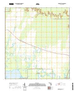 USGS US Topo 7.5-minute map for Weavers Station FL 2021