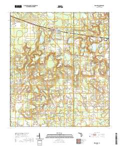 USGS US Topo 7.5-minute map for Wellborn FL 2021