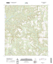 US Topo 7.5-minute map for Benevolence GA