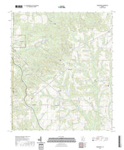 US Topo 7.5-minute map for Bridgeboro GA