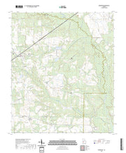 US Topo 7.5-minute map for Bronwood GA