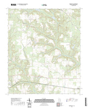 US Topo 7.5-minute map for Brooksville GA