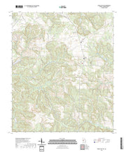 US Topo 7.5-minute map for Buena Vista NE GA