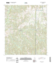 US Topo 7.5-minute map for Buena Vista NW GA