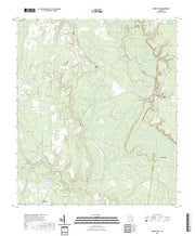 US Topo 7.5-minute map for Burnt Fort GA