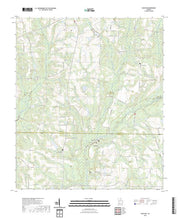 US Topo 7.5-minute map for Chastain GA