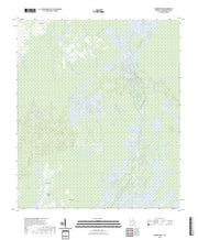 US Topo 7.5-minute map for Dinner Pond GA