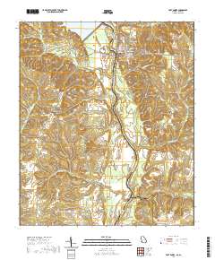 USGS US Topo 7.5-minute map for Fort Gaines GAAL 2020