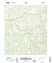 US Topo 7.5-minute map for Pateville GA