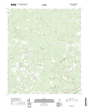 US Topo 7.5-minute map for Pine Valley GA