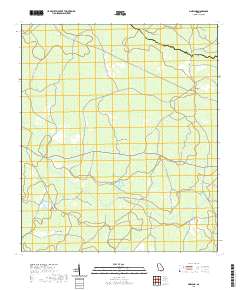 USGS US Topo 7.5-minute map for Pineland GA 2020