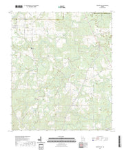 US Topo 7.5-minute map for Pineview East GA