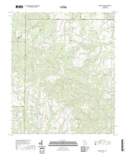 US Topo 7.5-minute map for Pineview West GA