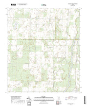 US Topo 7.5-minute map for Steadhams Store GA