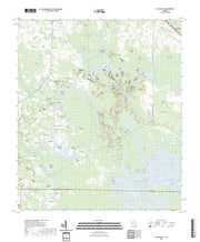 US Topo 7.5-minute map for Waycross SE GA