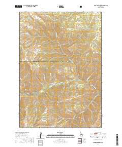 USGS US Topo 7.5-minute map for Bismark Mountain ID 2020