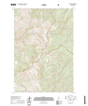 US Topo 7.5-minute map for Blue Joint IDMT