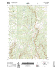 US Topo 7.5-minute map for Buffalo Lake IDWY