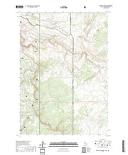 US Topo 7.5-minute map for Buffalo Lake NE IDWYMT