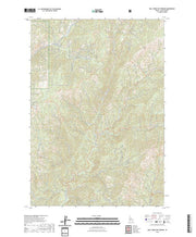 US Topo 7.5-minute map for Bull Creek Hot Springs ID