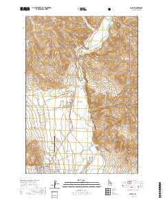 USGS US Topo 7.5-minute map for Challis ID 2020