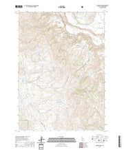 US Topo 7.5-minute map for Danskin Peak ID