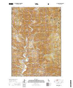 USGS US Topo 7.5-minute map for Goldbug Ridge ID 2020