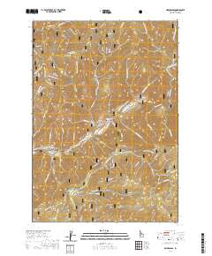 USGS US Topo 7.5-minute map for Grimes Pass ID 2020