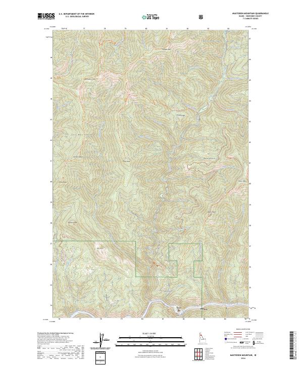 US Topo 7.5-minute map for Mastodon Mountain ID