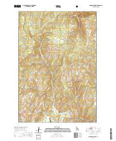 USGS US Topo 7.5-minute map for Meadow of Doubt ID 2020