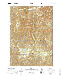 USGS US Topo 7.5-minute map for Paddy Flat ID 2020