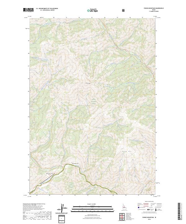 US Topo 7.5-minute map for Pungo Mountain ID