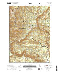 USGS US Topo 7.5-minute map for Reas Pass IDMT 2020