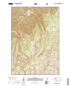 USGS US Topo 7.5-minute map for Sheepeater Mountain ID 2020