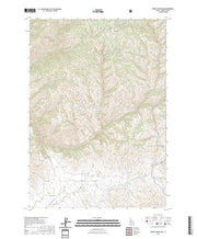 US Topo 7.5-minute map for Sprout Mountain ID