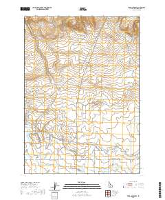 USGS US Topo 7.5-minute map for Thorn Creek SW ID 2020