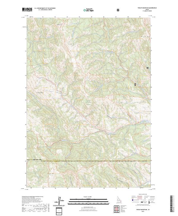 US Topo 7.5-minute map for Tincup Mountain ID