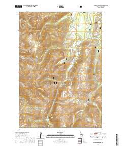 USGS US Topo 7.5-minute map for Tyndall Meadows ID 2020