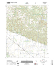 US Topo 7.5-minute map for Raddle IL