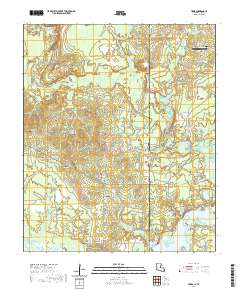 USGS US Topo 7.5-minute map for Trees LATX 2020