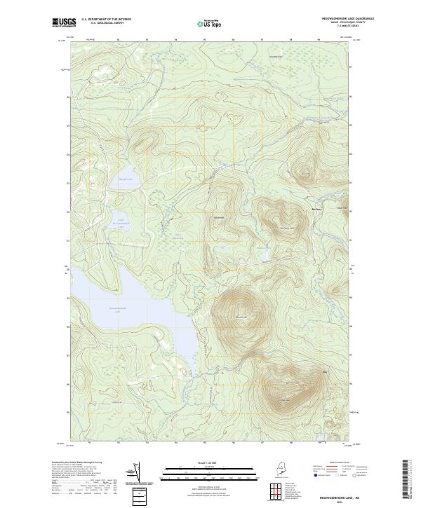 US Topo 7.5-minute map for Nesowadnehunk Lake ME