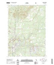 US Topo 7.5-minute map for Baldwin MI