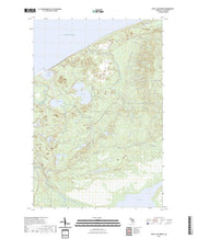 US Topo 7.5-minute map for Betsy Lake North MI