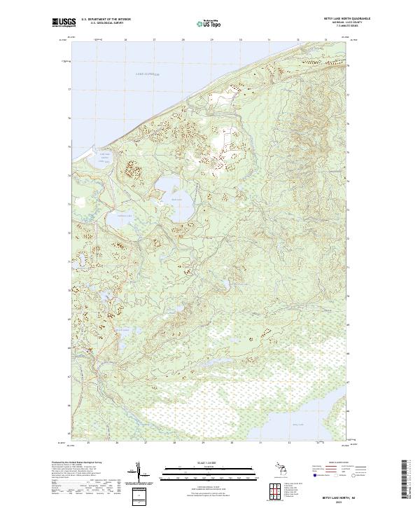 US Topo 7.5-minute map for Betsy Lake North MI