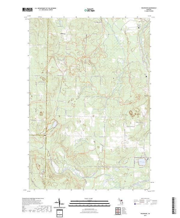 US Topo 7.5-minute map for Wildwood MI