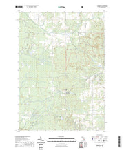 US Topo 7.5-minute map for Woodville MI