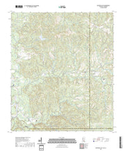 US Topo 7.5-minute map for Baxterville SW MSLA