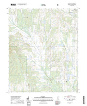 US Topo 7.5-minute map for Buena Vista MS