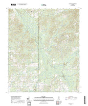 US Topo 7.5-minute map for Conehatta MS